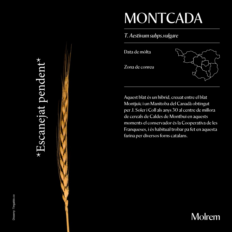 Captura desde 2026-05-13 09-09-42